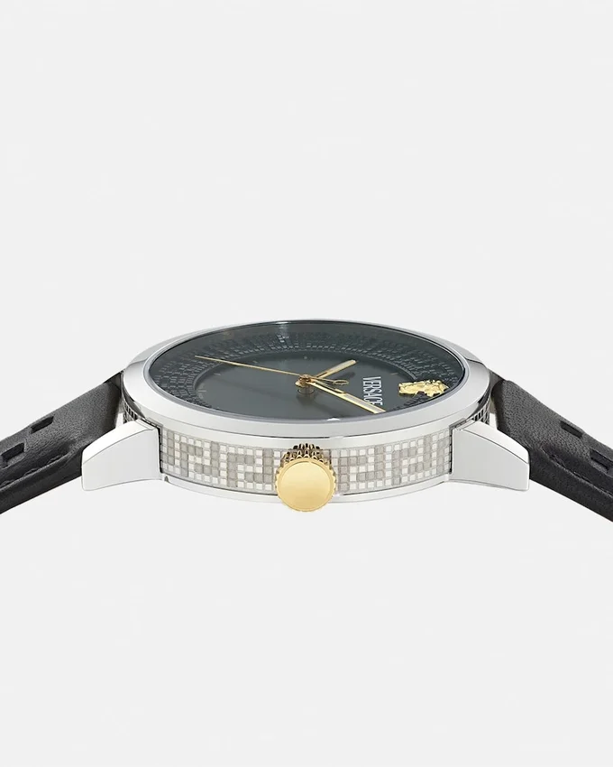 Albireo Watch Albireo Watch