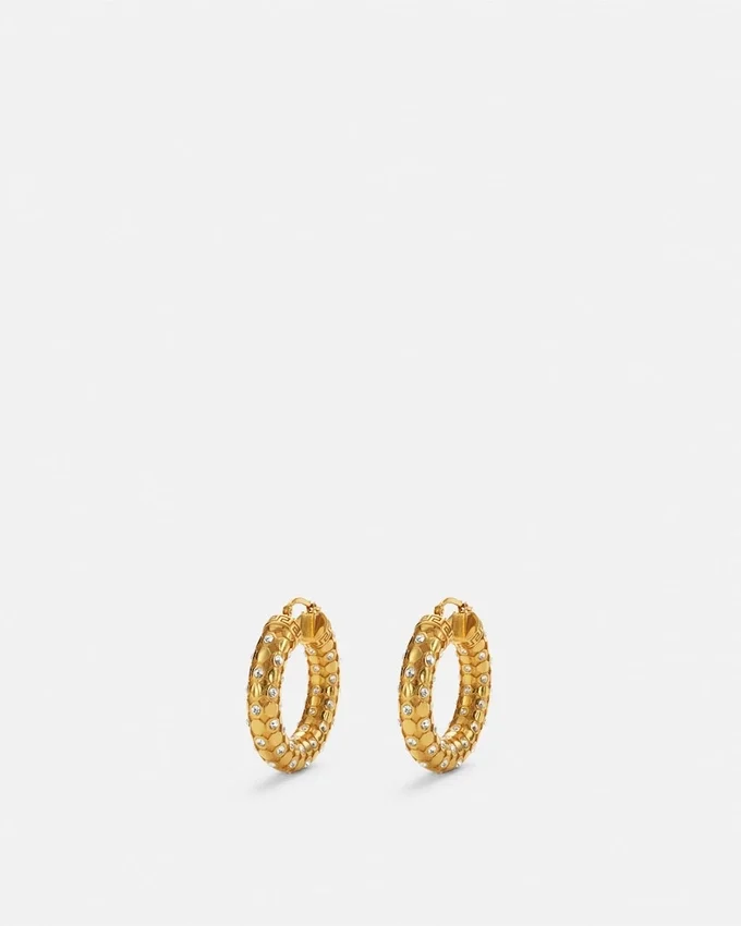 Crystal Metal Mesh Hoop Earrings Crystal Metal Mesh Hoop Earrings