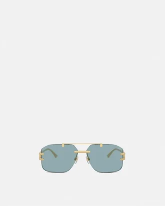 Damier Plaque Sunglasses