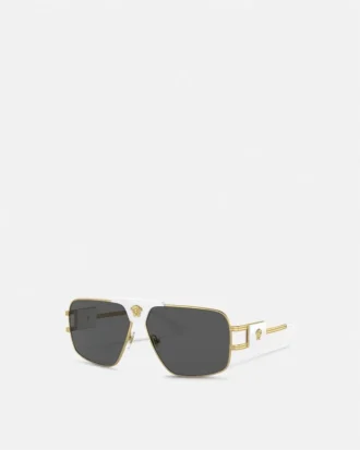 Navigator Sunglasses
